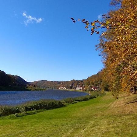Ferienwohnung An Der Elbe Stadt Wehlen Luaran gambar