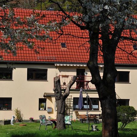 Ferienwohnung An Der Elbe Stadt Wehlen Luaran gambar