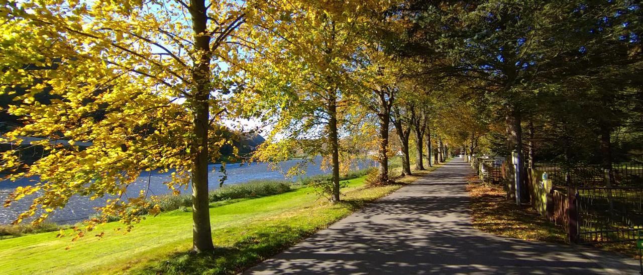 Ferienwohnung An Der Elbe Stadt Wehlen Luaran gambar