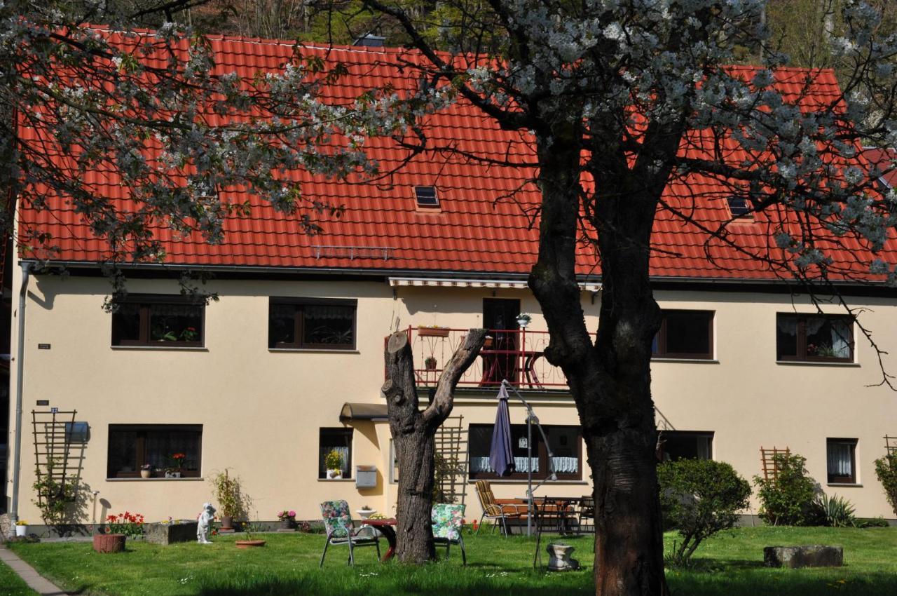 Ferienwohnung An Der Elbe Stadt Wehlen Luaran gambar